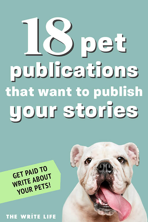  writing jobs tailored for pet lovers, combining passion and profession